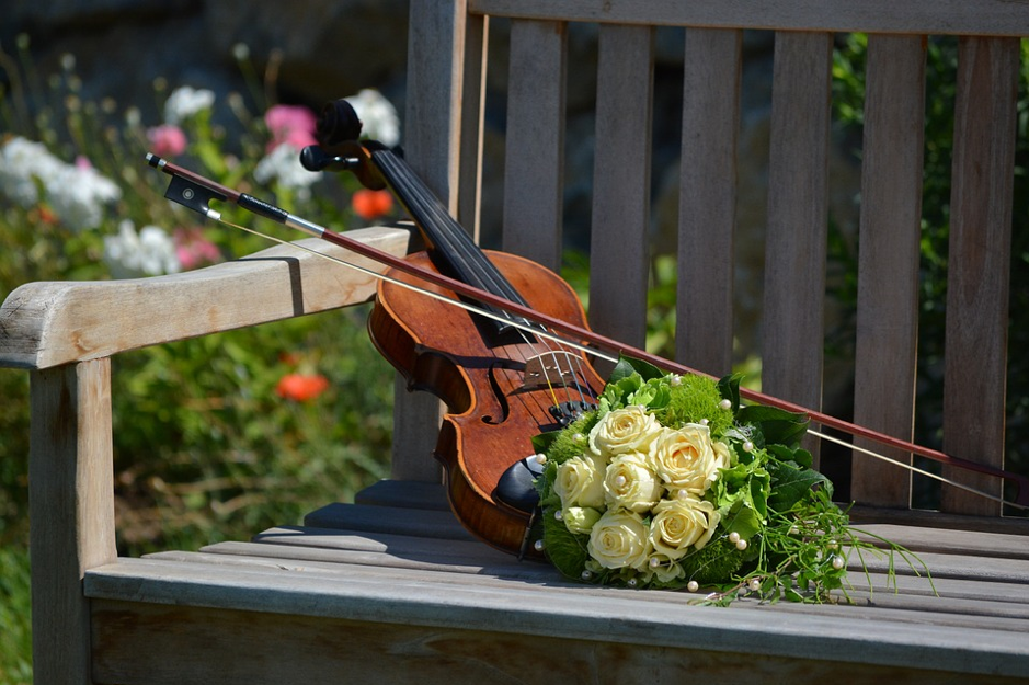 Violino de violinista para casamento